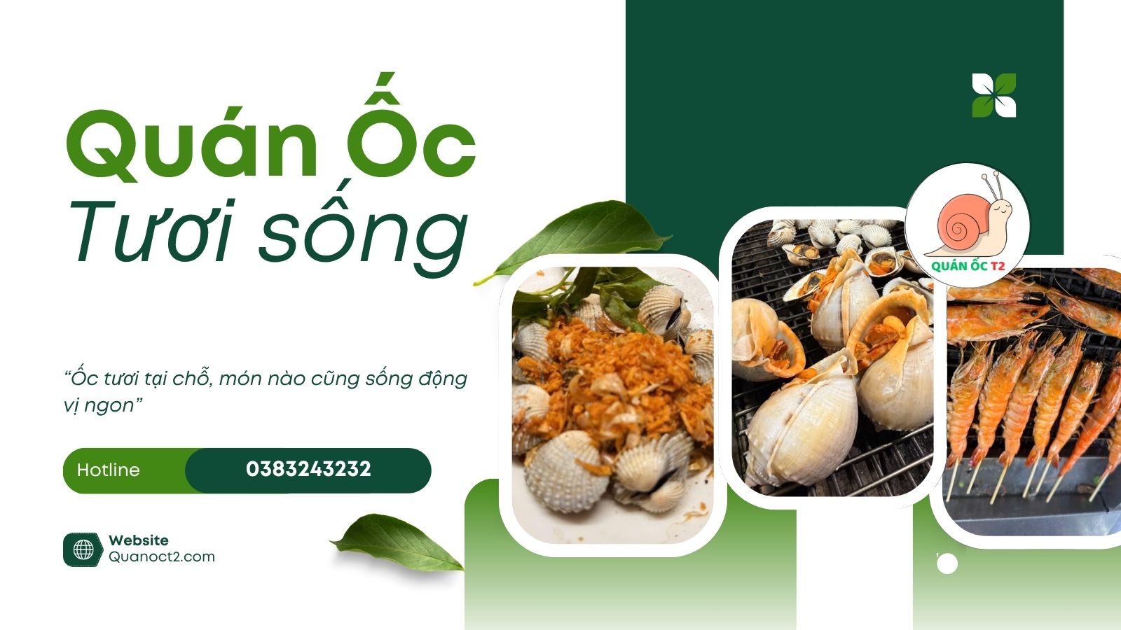Quán Ốc Tươi Sống – Chuyên các món ốc tươi ngon tại chỗ, hải sản nướng-hấp-xào hấp dẫn như sò, ốc, tôm tươi.