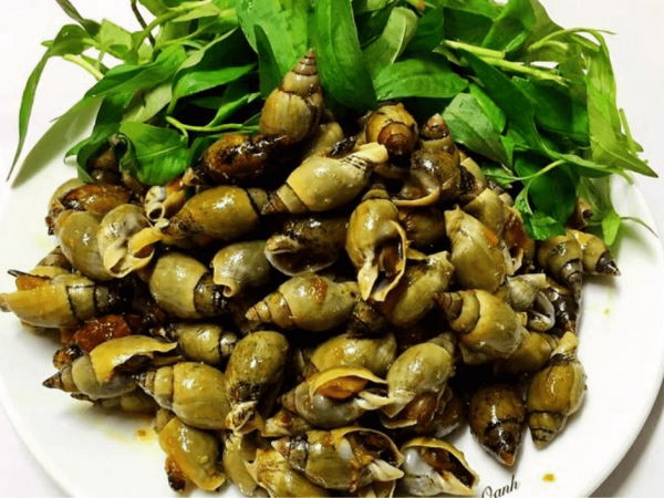 Ốc cà na