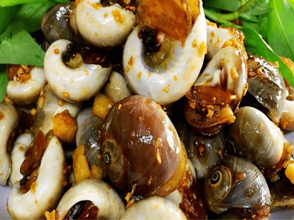 Ốc Mỡ