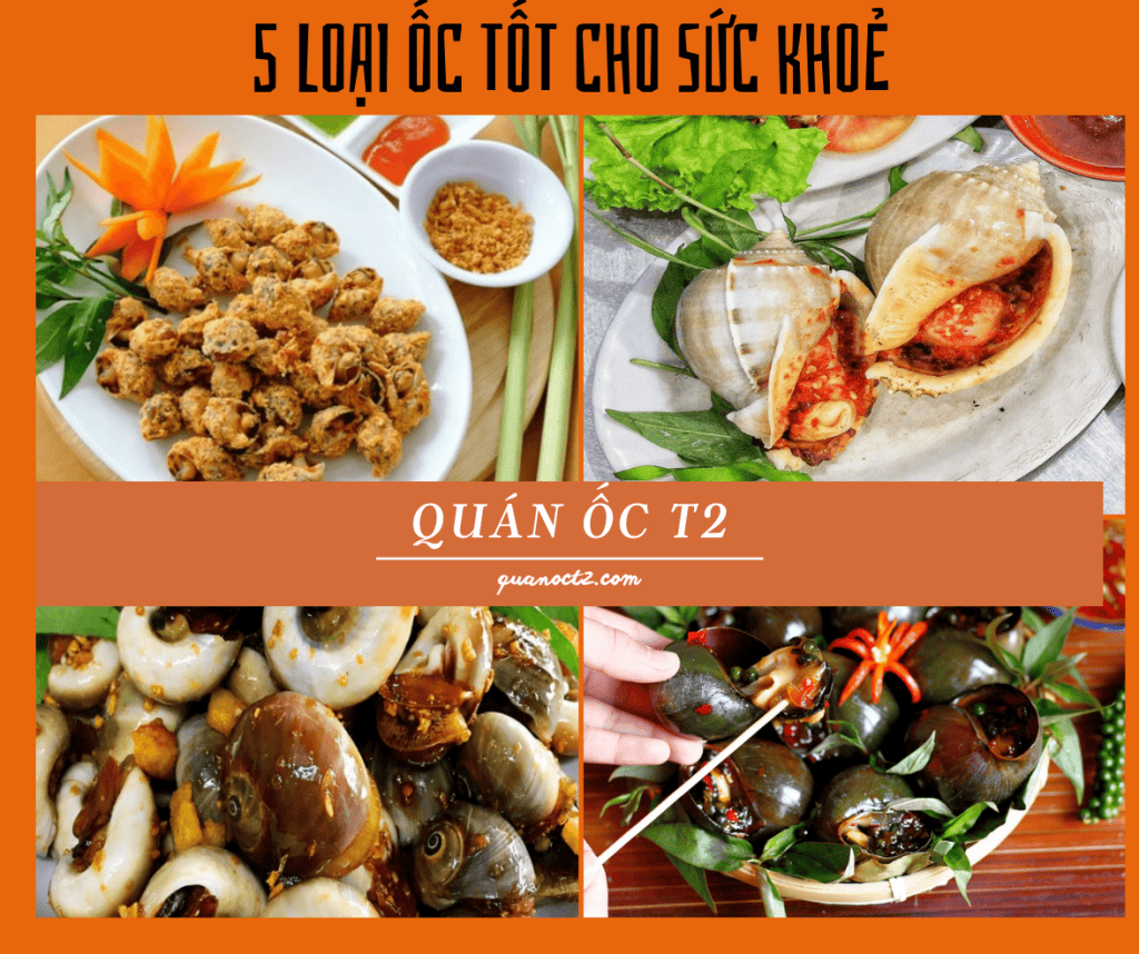 5 loại ốc tốt cho sức khoẻ mà bạn phải cần biết ?